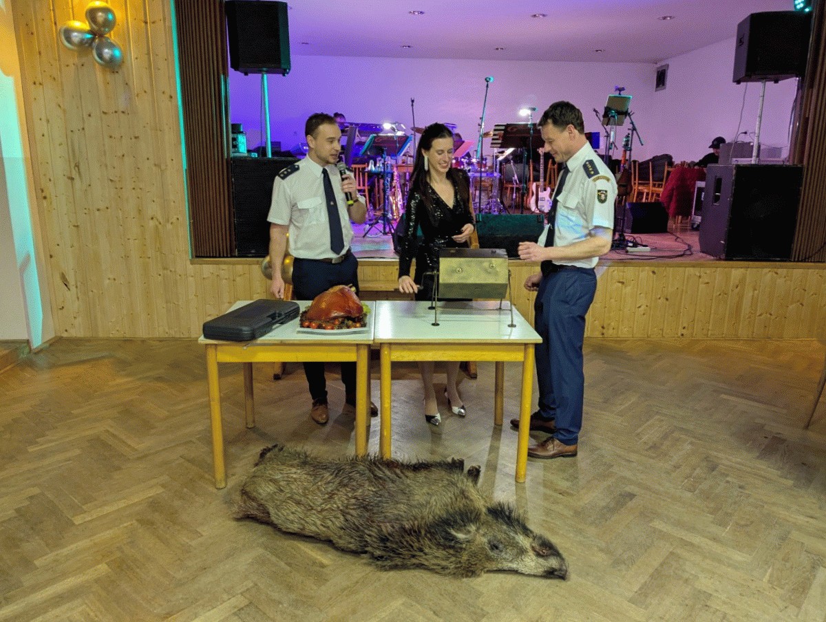 20260201_001519-ANIMATION